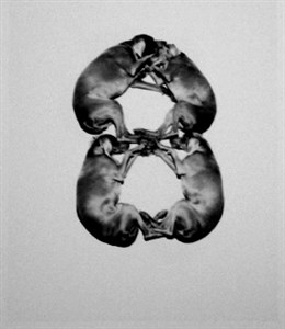 Image description is not available for 2001.037